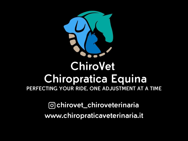 ChiroVet Chiropratica Veterinaria