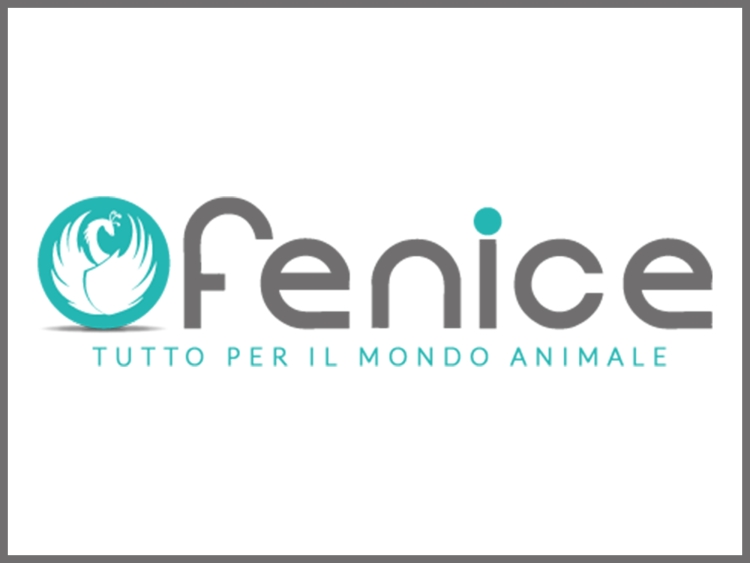 Fenice Srl